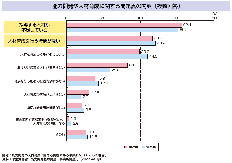 能力開発や人材育成に関する問題点の内訳（挿入画像）